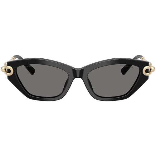 Tiffany Naočare za sunce TF 4231U 800181 Cene
