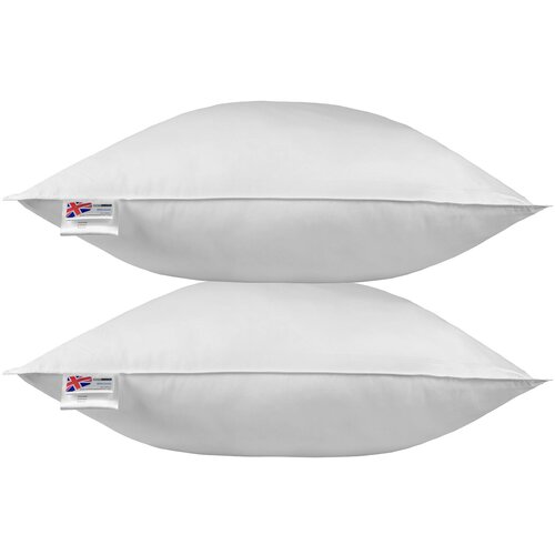 HOMESCAPES Vzglavnik iz račjega perja, par - 80x80 cm, (20751169) Cene