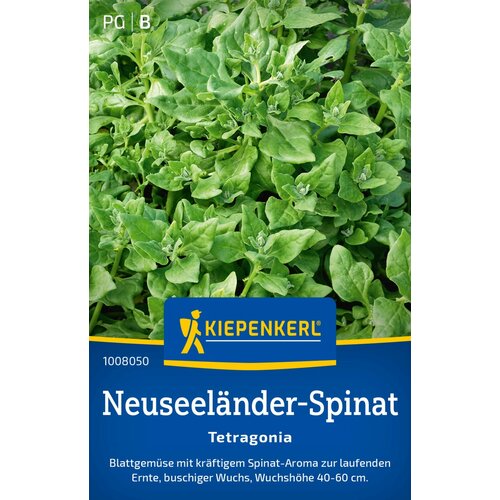 KIEPENKERL Novozelandska špinača "Tetragonia" - 1 pkt. Cene
