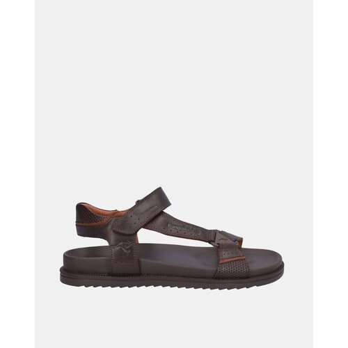 Kangaroos Sandali & Odprti čevlji 1025 8 Kostanjeva Cene