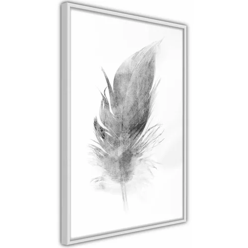  Poster - Lost Feather (Grey) 40x60