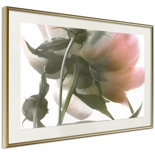  Poster - Under the Flower 45x30