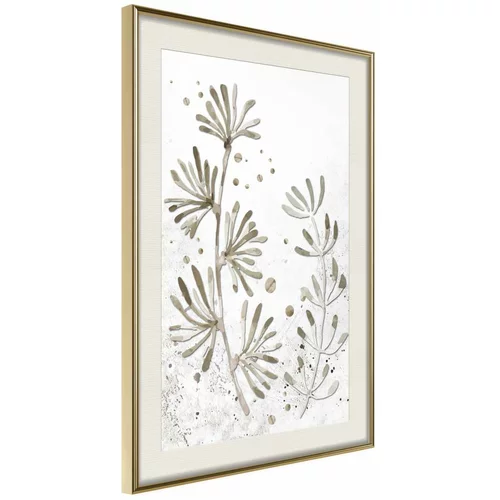  Poster - Dried Plants 40x60