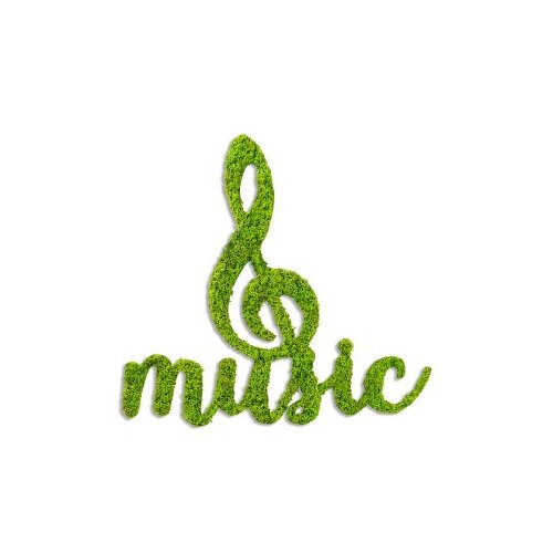 Wallxpert Zidna dekoracija Mahovina - Muzika, 50 x 52 cm, Svijetlo zelena Slike