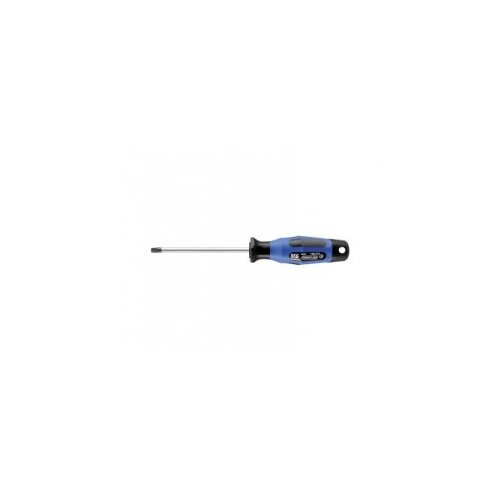 SKG ODVIJAČ - TORX SA RUPOMT 25 4,5X100MM Cijene