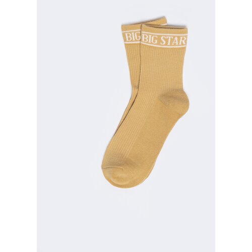 Big Star Woman's Standard Socks 210494 801 Cene
