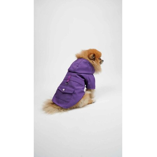 Paws &amp; Whiskers Pawjoy - Purple Purple Pet's Coat Cene