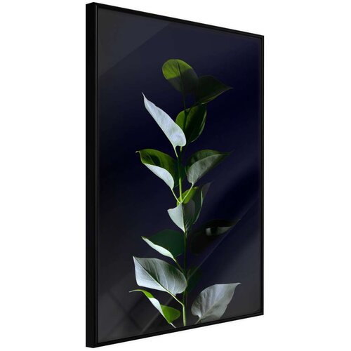  Poster - Floral Elegance 20x30 Slike