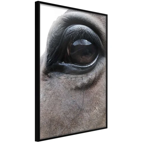  Poster - Gentle Eyes 20x30