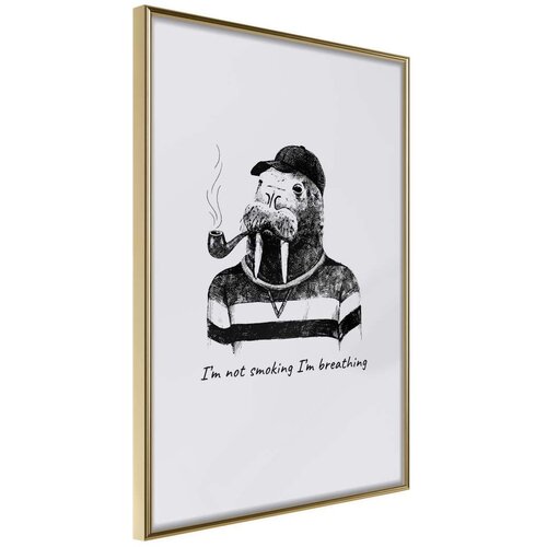  Poster - Captain Walrus 30x45 Cene