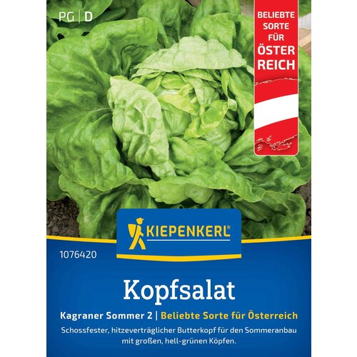  Glavnata solata "Kagraner Sommer 2" - 600 zrn. Cene