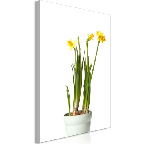  Slika - Narcissus (1 Part) Vertical 80x120 Cijene