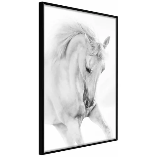  Poster - Beauty in Motion 30x45