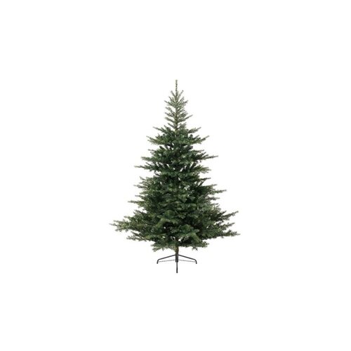  jelka grandis fir zelena, visina 240cm (68.1453) Cene