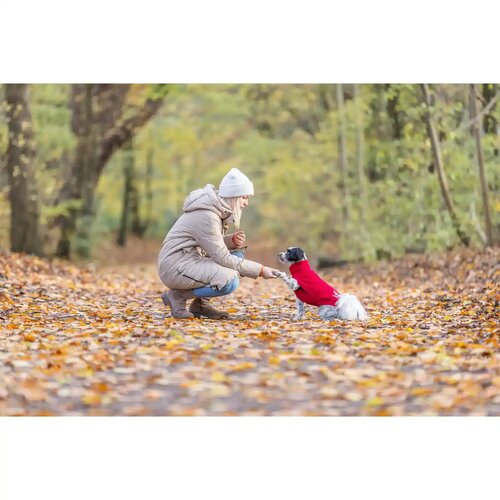 Trixie džemper za pse Norwood Plava 45 cm Slike