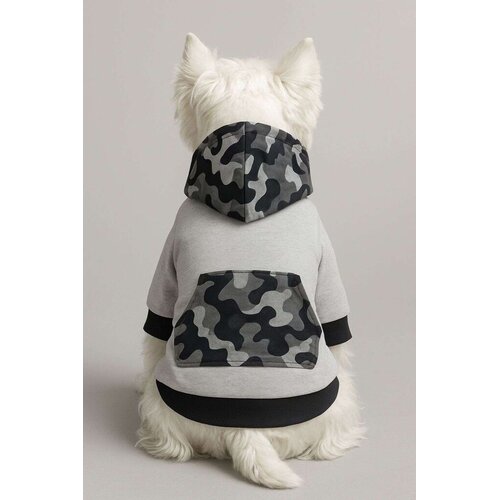 Paws & Whiskers Odelo za pse Graysoldiersweat, Sivo Cene