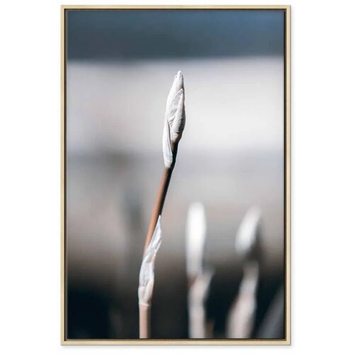  Slika - Botanical Minimalism (1 Part) Vertical 80x120 Cene