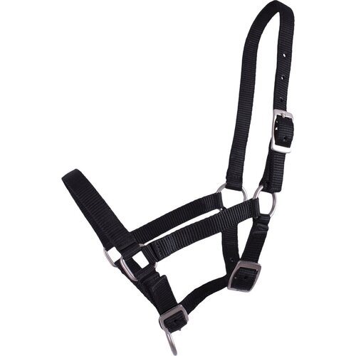  Oglavka za žrebičke, črna - Žrebiček Pony Cene