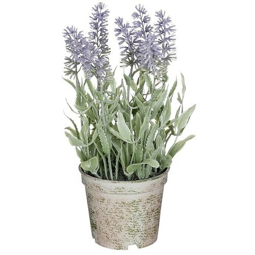  Umjetna biljka (Vanjska dimenzija (ø x V): 12 x 21,5 cm, Plastika) Cijene