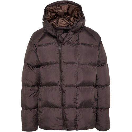 Trendyol Winter Jacket - Brown - Basic Cene