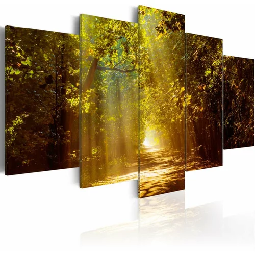  Slika - Forest in the Sunlight 100x50