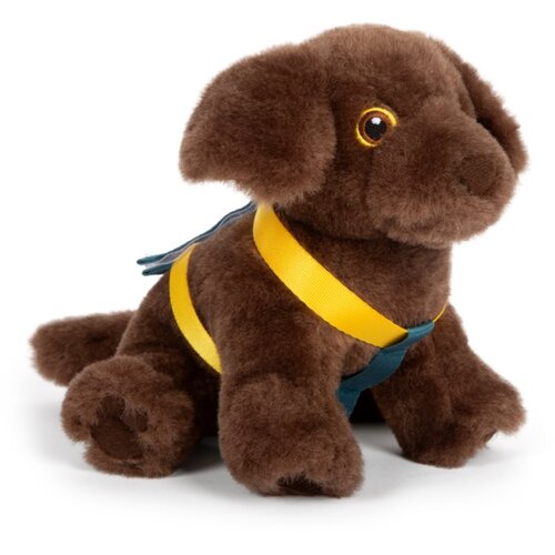 Small foot by Legler Plush Dog with Care Kit pli&amp;scaron;asta igrača 1 kos Slike