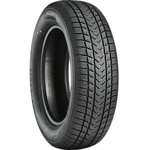 Gripmax 205/55R17 95V PRO WINTER XL Slike