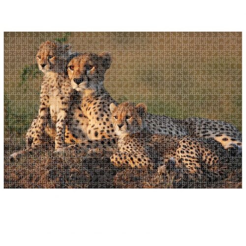  1000 KOM ANIMAL PLANET CHEETAH DIAKAKIS 000570697 Slike