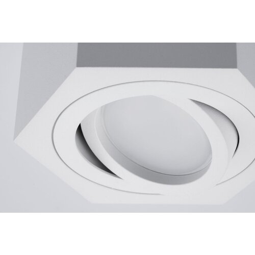  SPOT svetlo ARENO 1xGU10/30W/230V belo Slike