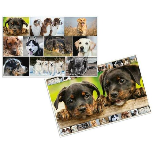 Herma Podloga za sto Dogs 550x350mm šarena Slike