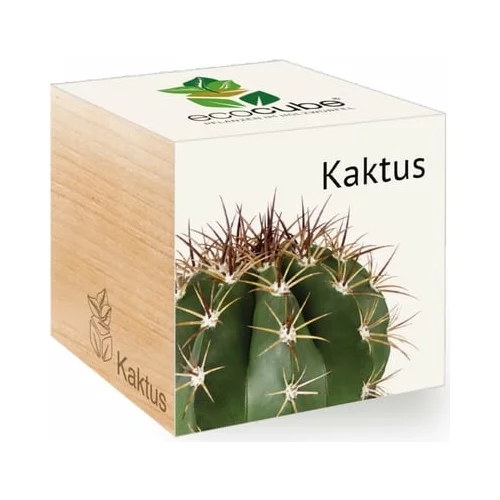 Feel Green ecocube "Exotics" - kaktus
