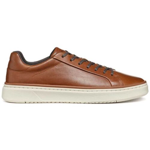 Geox muške patike u zackerty U46HPA9A60020 Cene