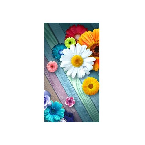  CT-5374 multicolor bathmat set (2 pieces) Cene