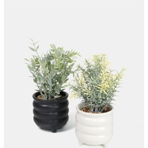 Sinsay Ukrasna umjetna biljka 2 pack Slike