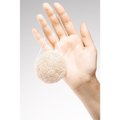 BrushArt Home Salon Konjac sponge nežna eksfoliacijska gobica za obraz Natural 4 g Cene