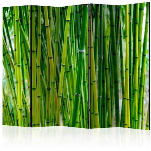 Artgeist Paravan Bamboo Forest I, 5-Delni, Akustičen Cene