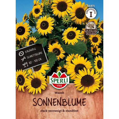 BIO sončnice - 1 pkt. Slike