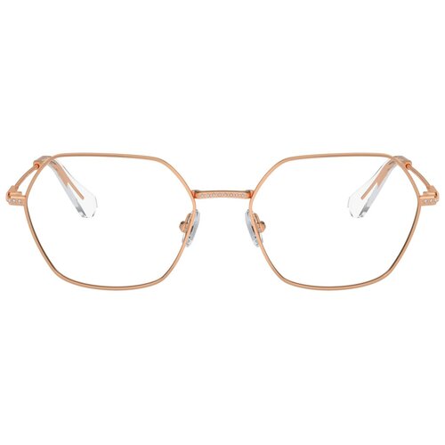 Swarovski Naočare SK 1011 4014 Cene
