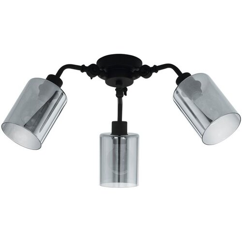Eglo Forestburg plafonjera 3xE27, 66,5 cm, crna/dimljeno staklo, 43308 Slike