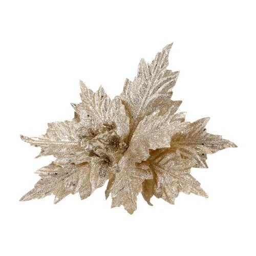 Festa Blossom, novogodišnji cvet, šampanjac, 33cm Cene