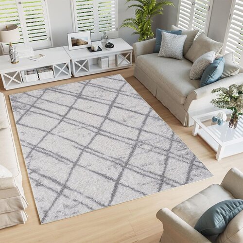 Conceptum Hypnose tepih Woopamuk364, 80x150 cm, sivo-beli Cene
