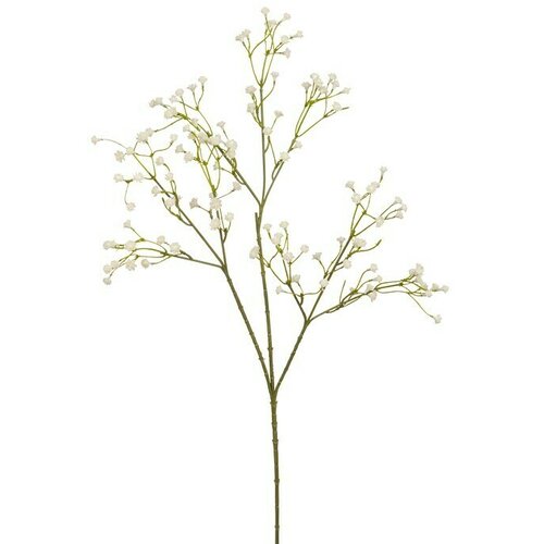  Umetna rastlina Gipsophila (Višina: 60 cm, Bela, Plastika) Cene