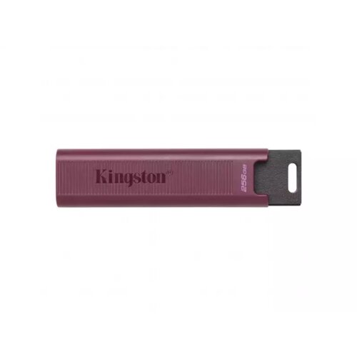 Kingston 256GB DataTraveler Max USB 3.2 flash DTMAXA/256GB Cene