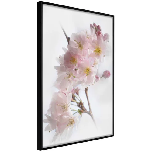  Poster - Scent of Spring 40x60