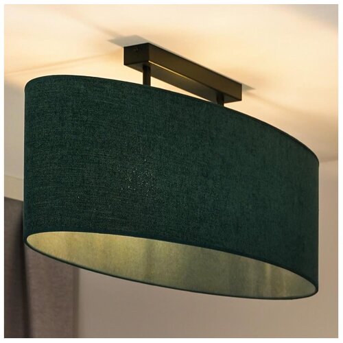 Duolla - Plafonski luster OVAL 2xE27/15W/230V zelen Cene