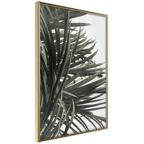  Poster - Little Tropics 20x30 Cene