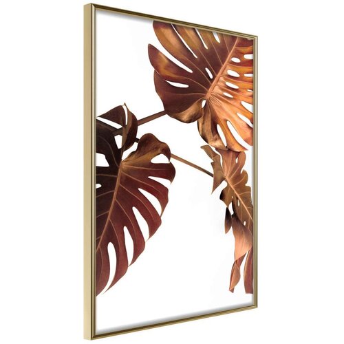  Poster - Copper Monstera 20x30 Slike