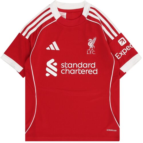 Adidas Funkcionalna majica &amp;#039;LFC&amp;#039; rdeča / bela Slike
