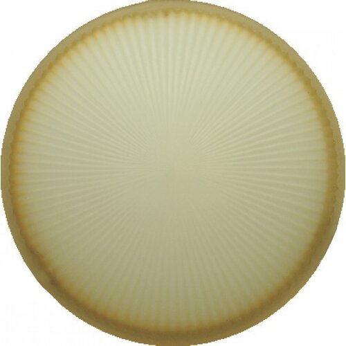 Mitea Lighting Staklo za plafonjere 2930-F6 braon, rezervni deo Cene