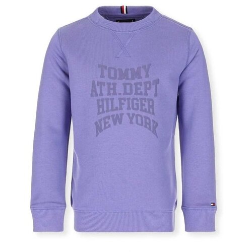 Tommy Hilfiger Duks za decake Cene